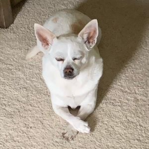 Meet your Posher, Cindy